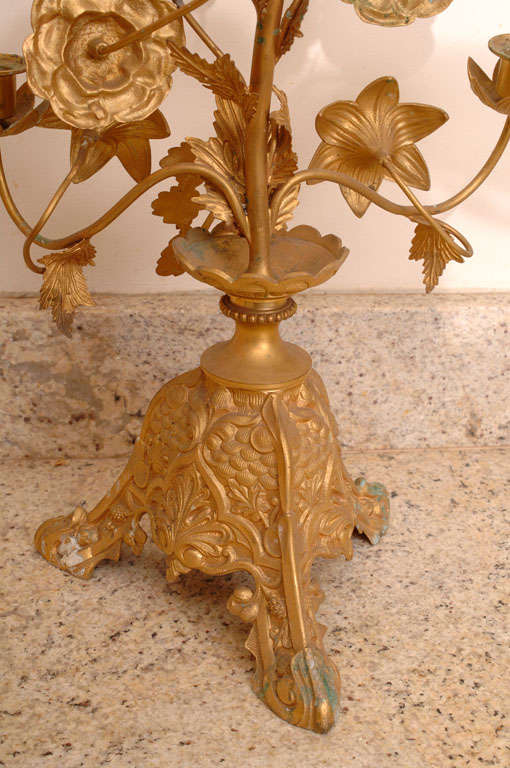 19th Century Pair of Gilt Bronze Candelabras For Sale