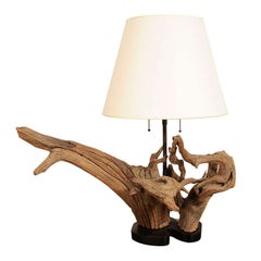 A Driftwood Mounted Table Lamp.