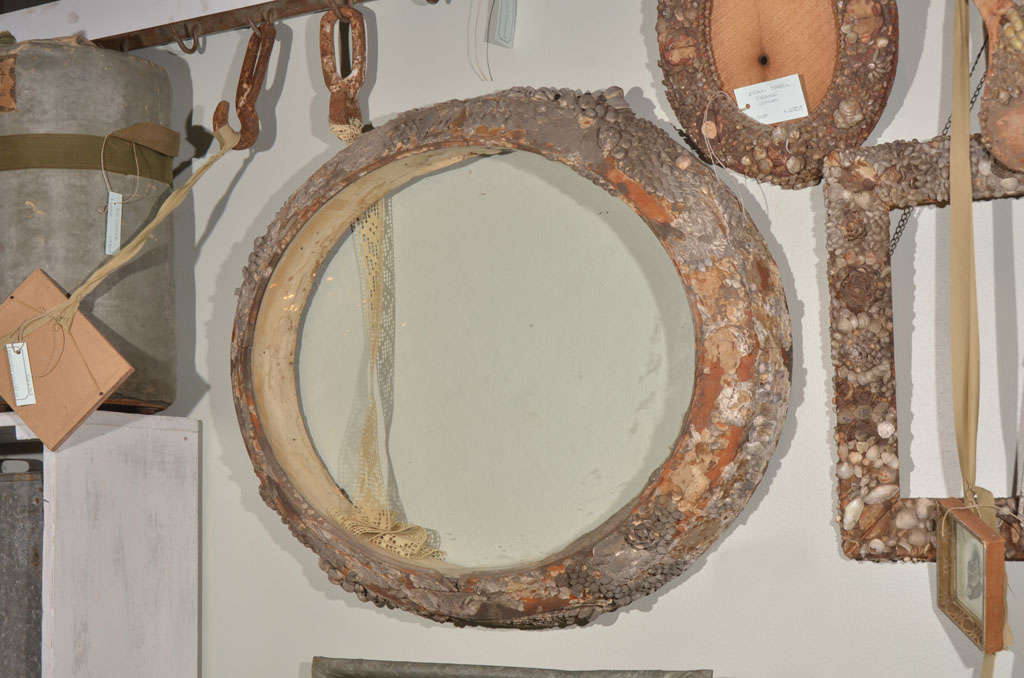 Large Oval Shell Encrusted Frame