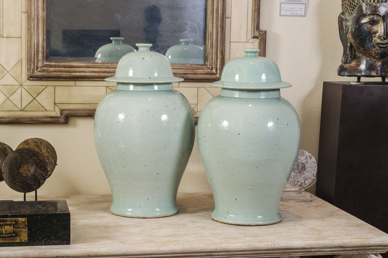Pair of Chinese Ginger Jars