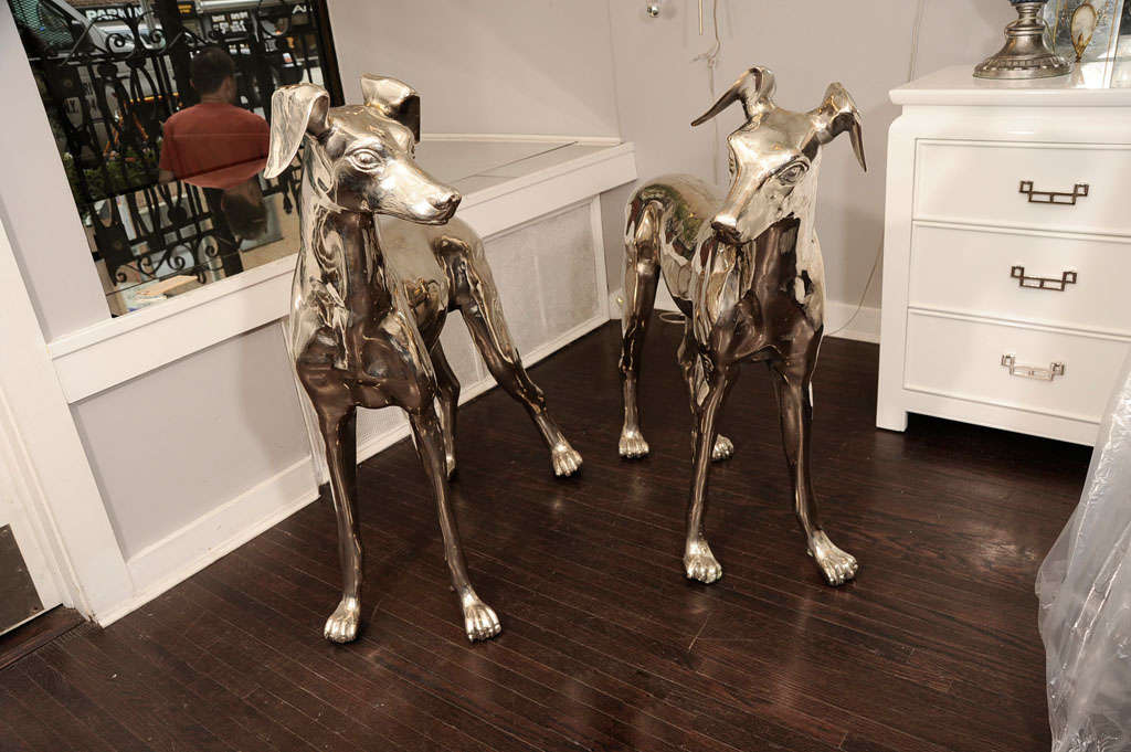 Pair of  Nickel Plated Great Danes 6