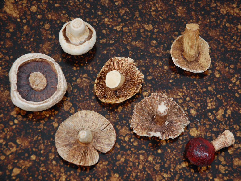Collection of seven hand painted ceramic mushroom created and used in the display windows of the Hermes flagship store in Paris.