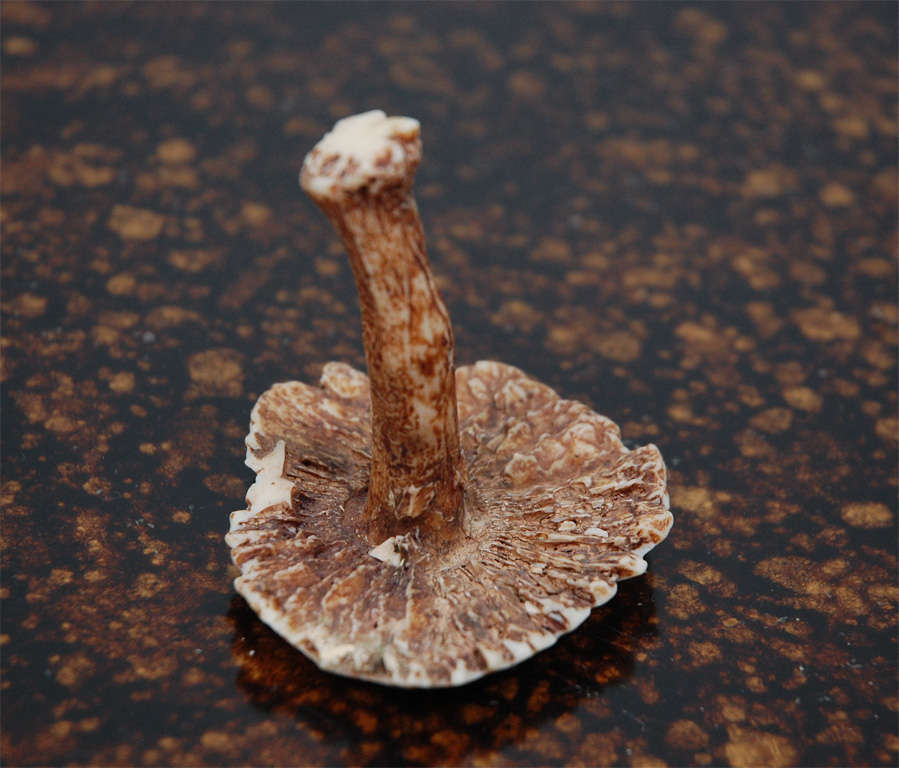 French Hand Painted Ceramic Mushrooms by Hermes
