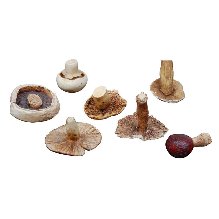 Hand Painted Ceramic Mushrooms by Hermes