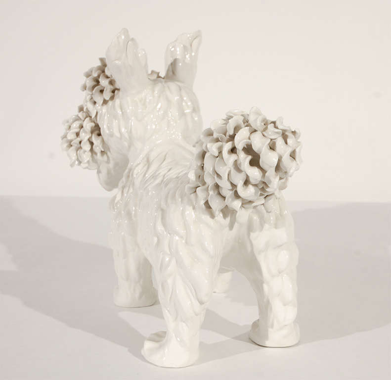 Amusing West Highland Terrier 2