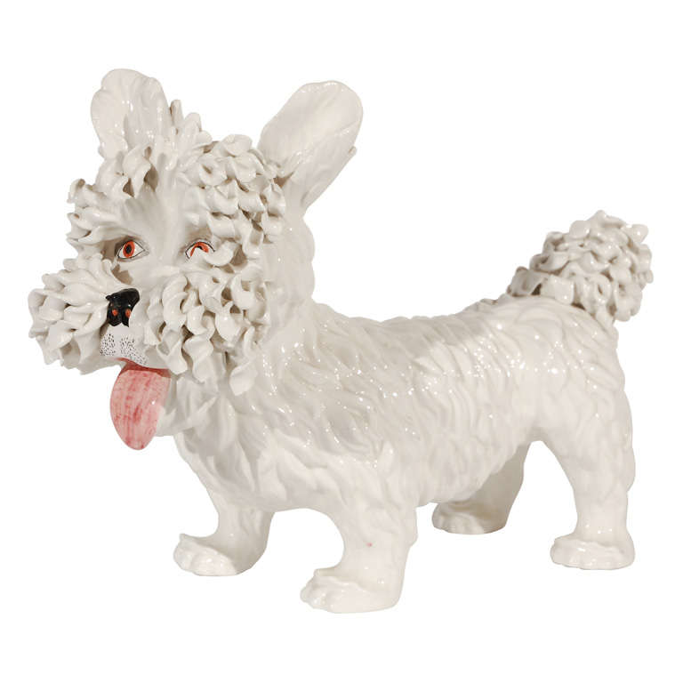 Amusing West Highland Terrier