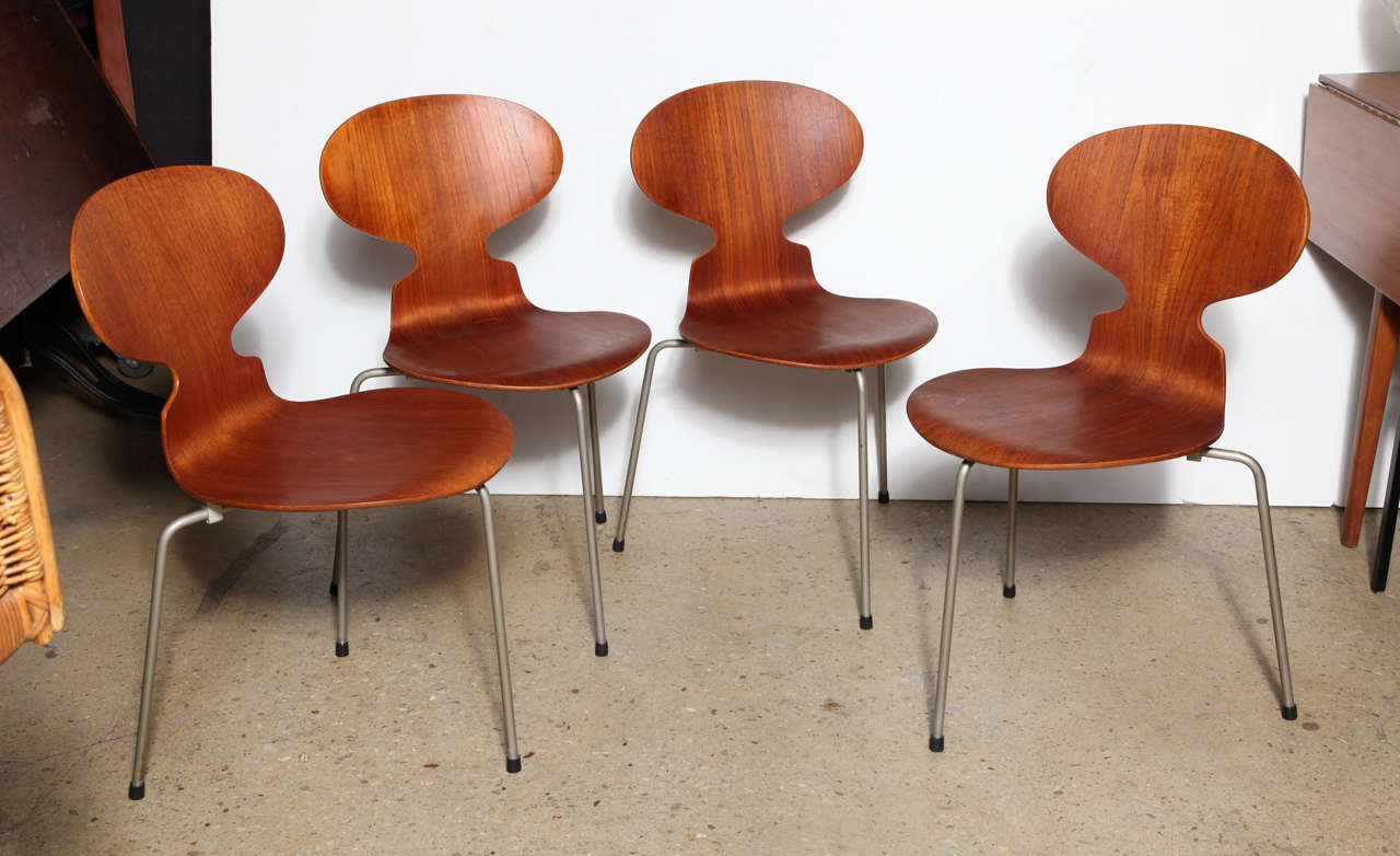 4 signed Model 3100 Arne Jacobsen for Fritz Hansen Ant Chairs.   Danish Modern beautifully grained molded Teak on tripod Steel legs.  Very comfortable multi use Chairs. Refinished