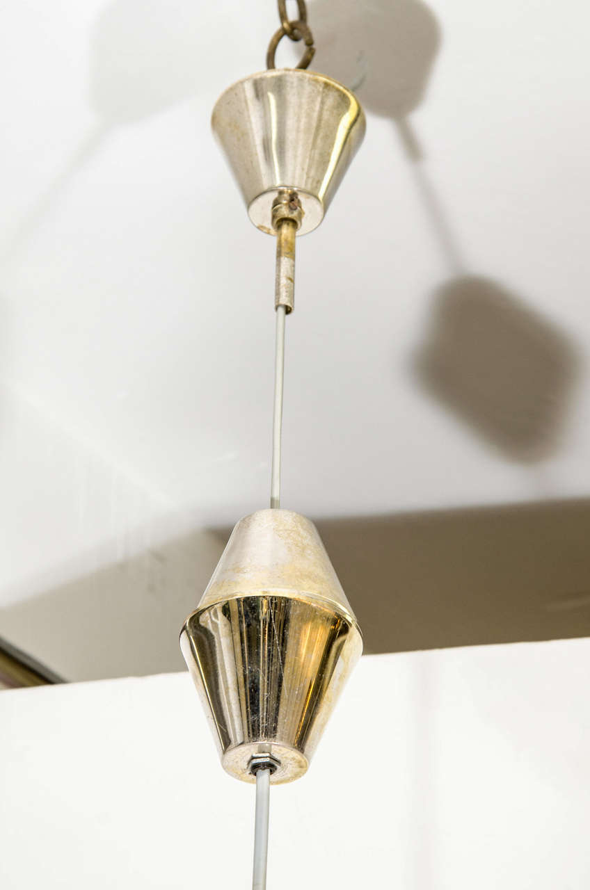 Tulip Pendant Light