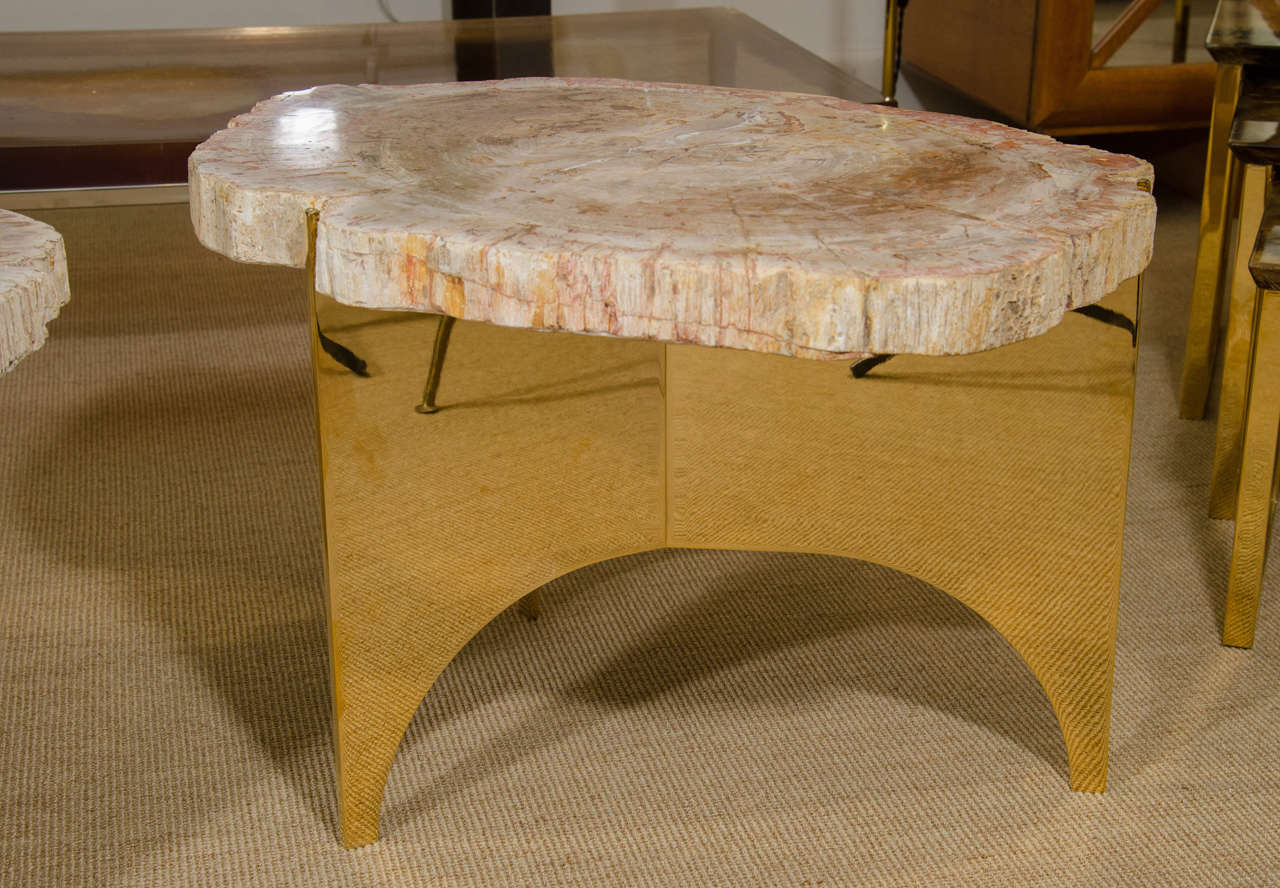Limited Edition Custom-Made Petrified Wood and Polished Bronze Table For Sale 1