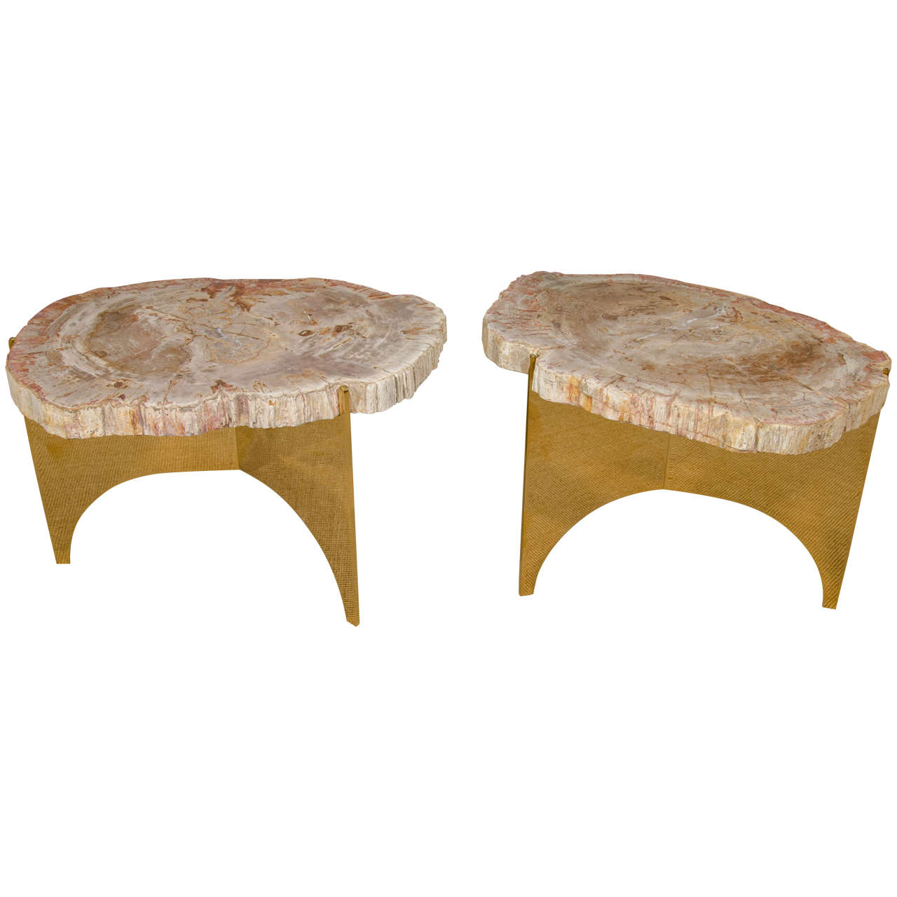 Limited Edition Custom-Made Petrified Wood and Polished Bronze Table For Sale