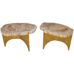Limited Edition Custom-Made Petrified Wood and Polished Bronze Table