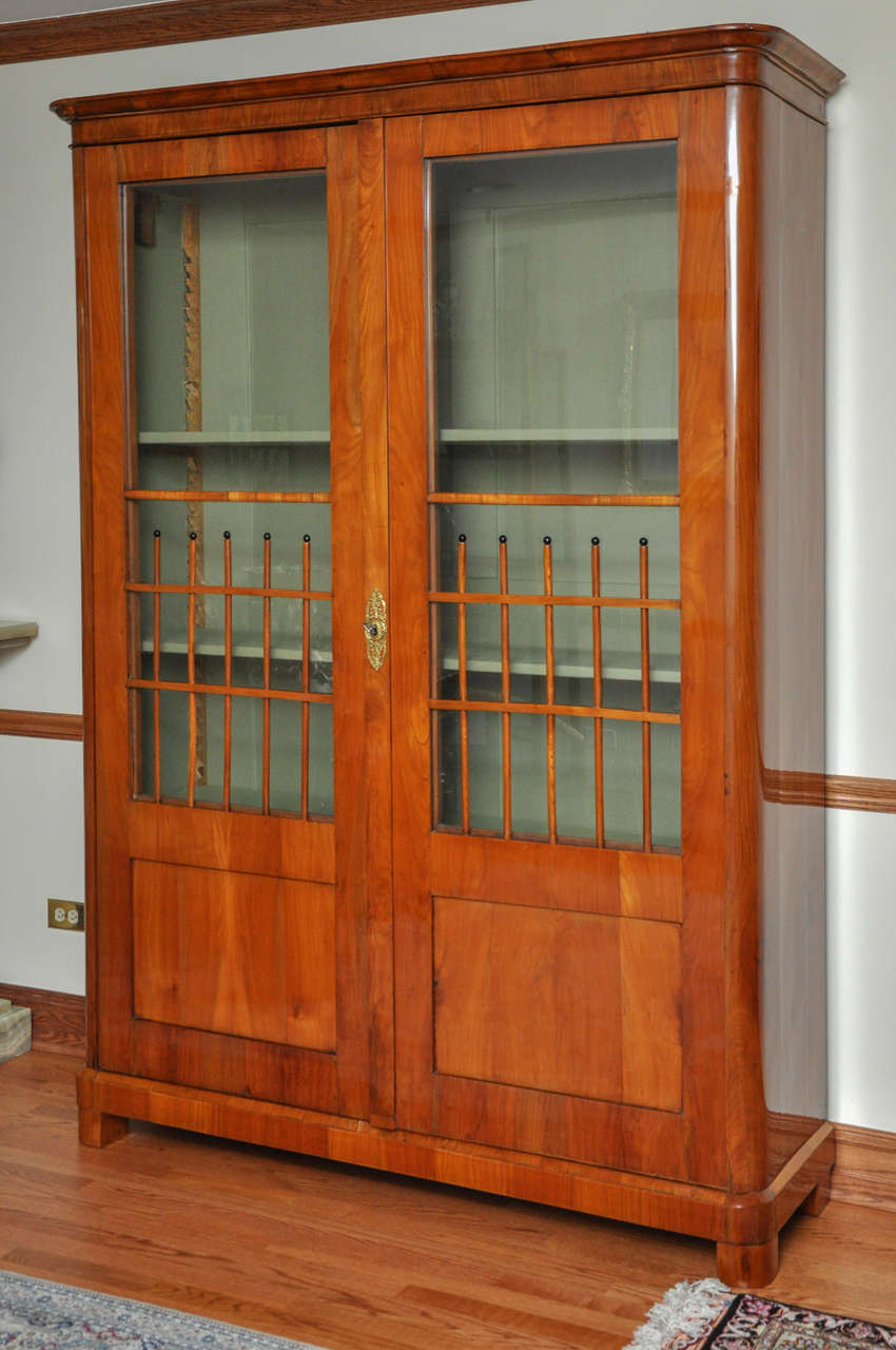 Cherry and Ebonized Biedermeier Showcase Made in Vienna, circa 1820