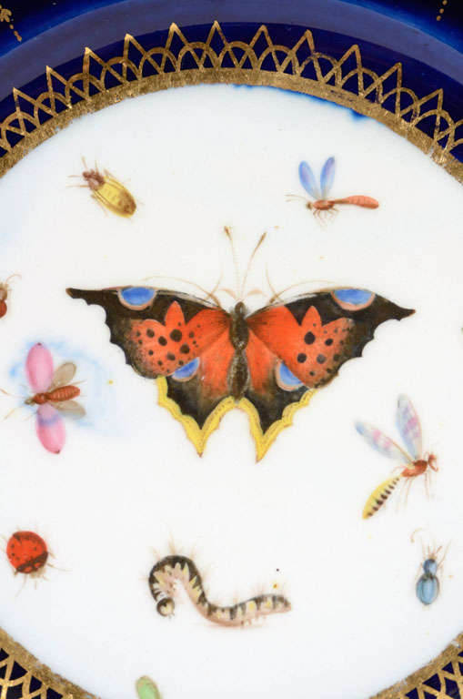Pair of Worcester Cabinet Plates w/ Butterflies & Caterpillars In Excellent Condition In Katonah, NY
