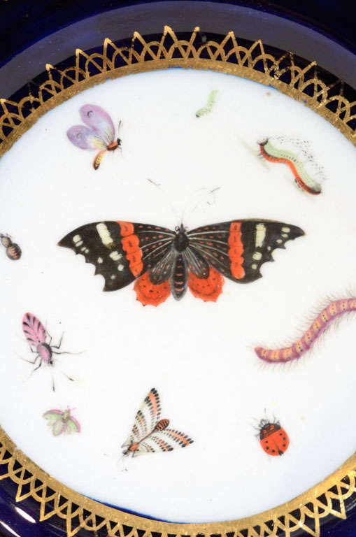 Porcelain Pair of Worcester Cabinet Plates w/ Butterflies & Caterpillars