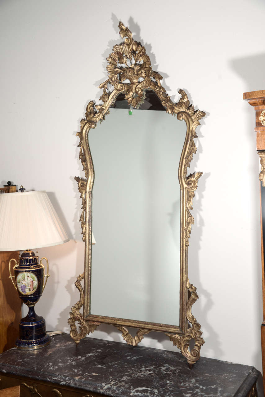 Late 19th c Italian Louis XV gilt wood carved mirrors In Excellent Condition In Dallas, TX