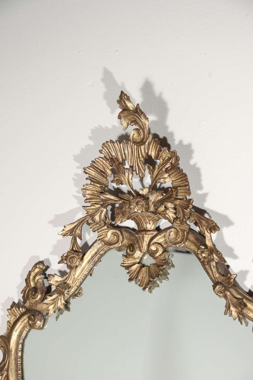 20th Century Late 19th c Italian Louis XV gilt wood carved mirrors
