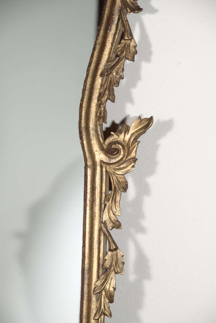 Late 19th c Italian Louis XV gilt wood carved mirrors 1