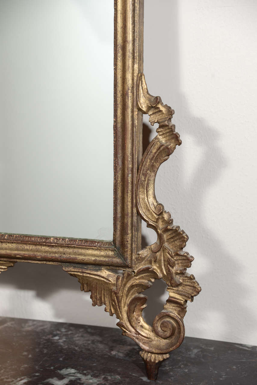 Late 19th c Italian Louis XV gilt wood carved mirrors 2