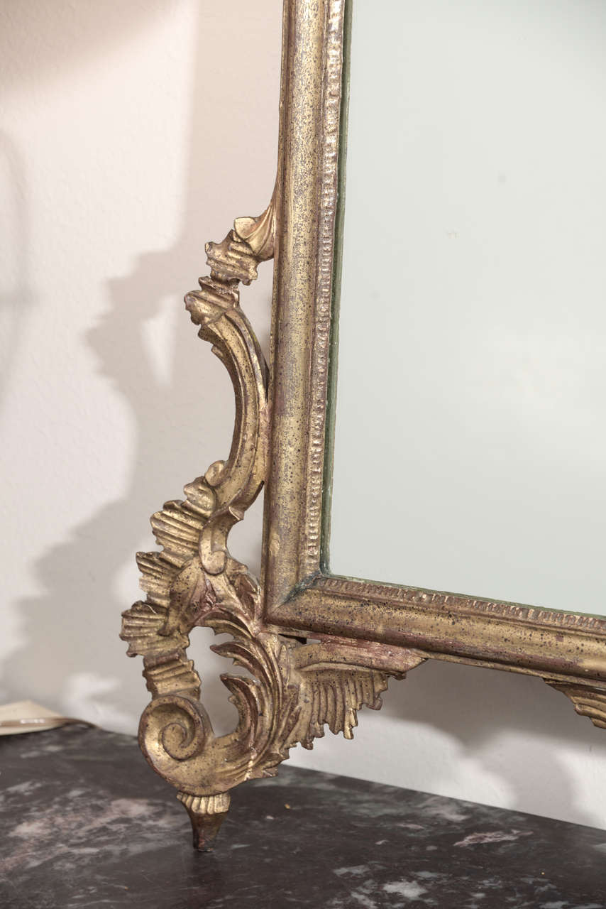 Late 19th c Italian Louis XV gilt wood carved mirrors 3