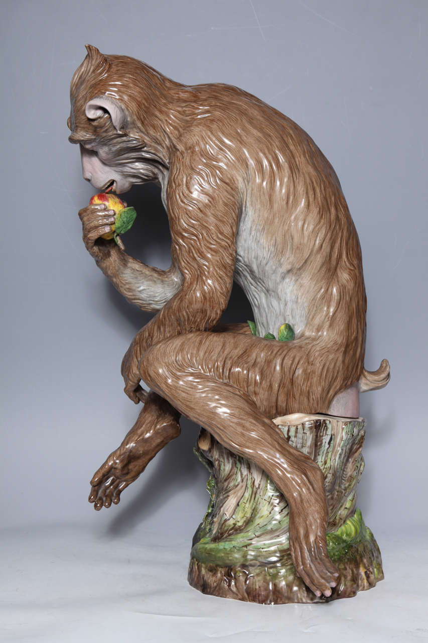 Meissener Porzellan, eine wichtige sitzende Affenfigur in Lebensgröße von J. Kandler (Handbemalt) im Angebot