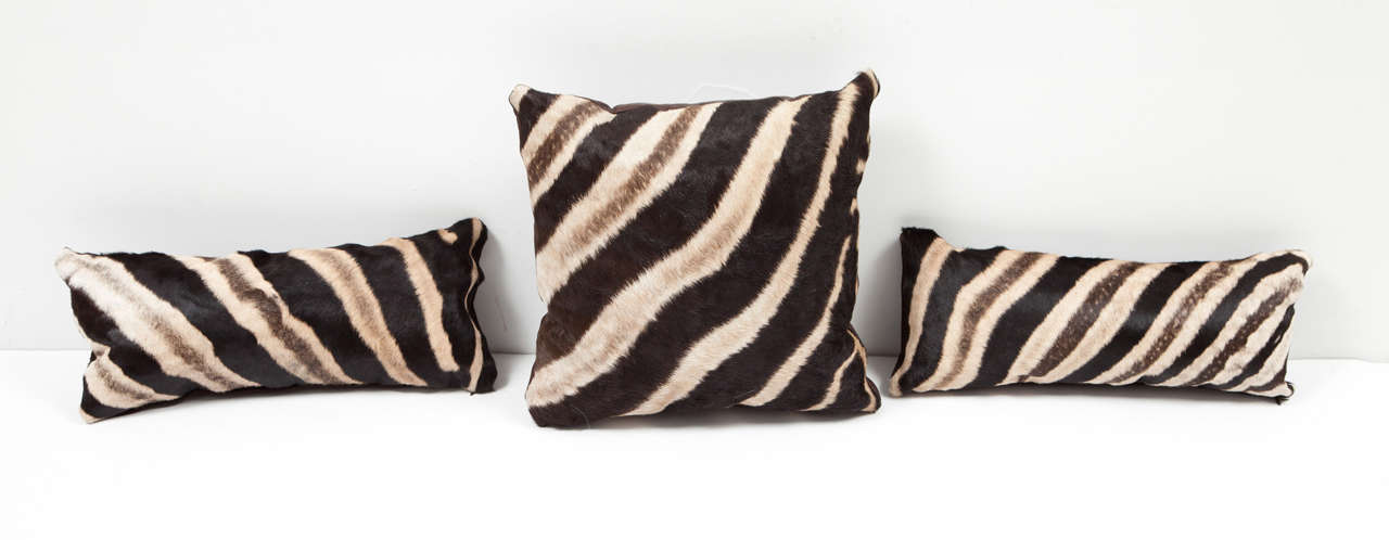Decorative vintage zebra pillows. Backed with leather.
We have 16