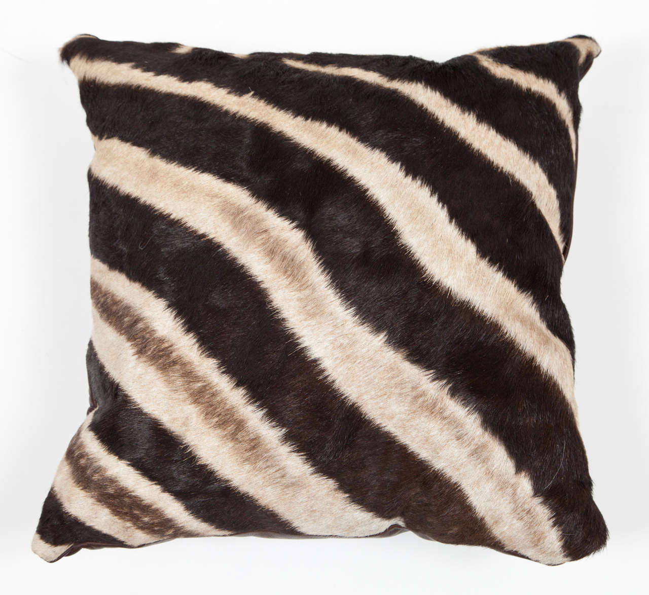 Modern Pillows, Zebra