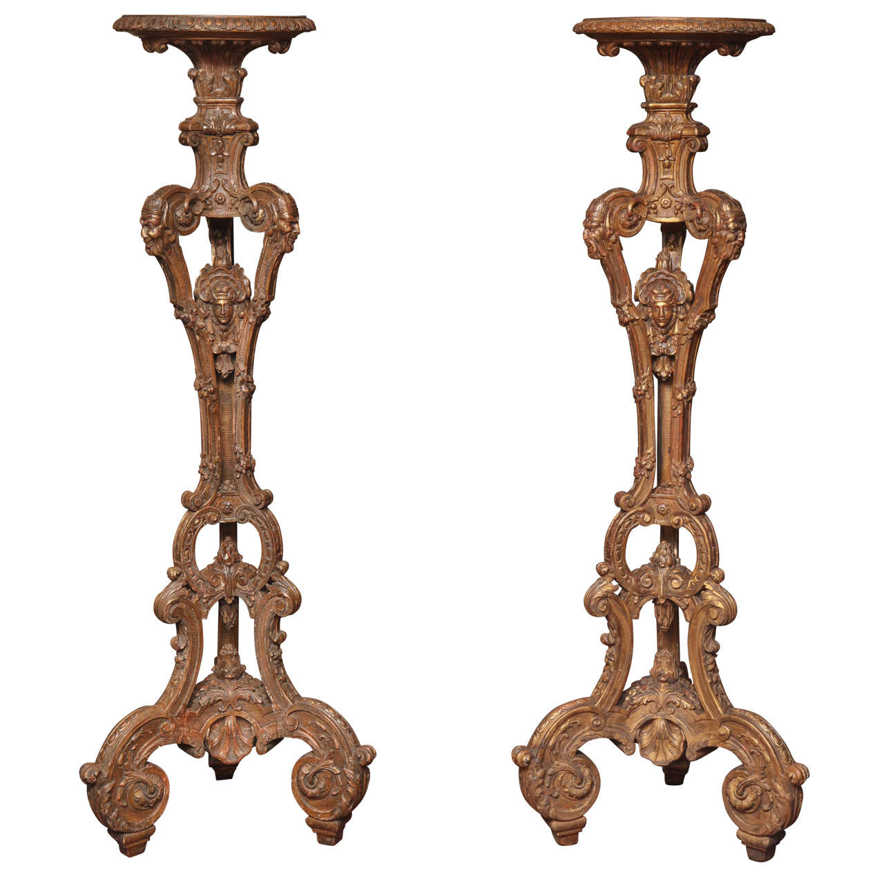 Pair of Louis XIV Style Giltwood Torchieres