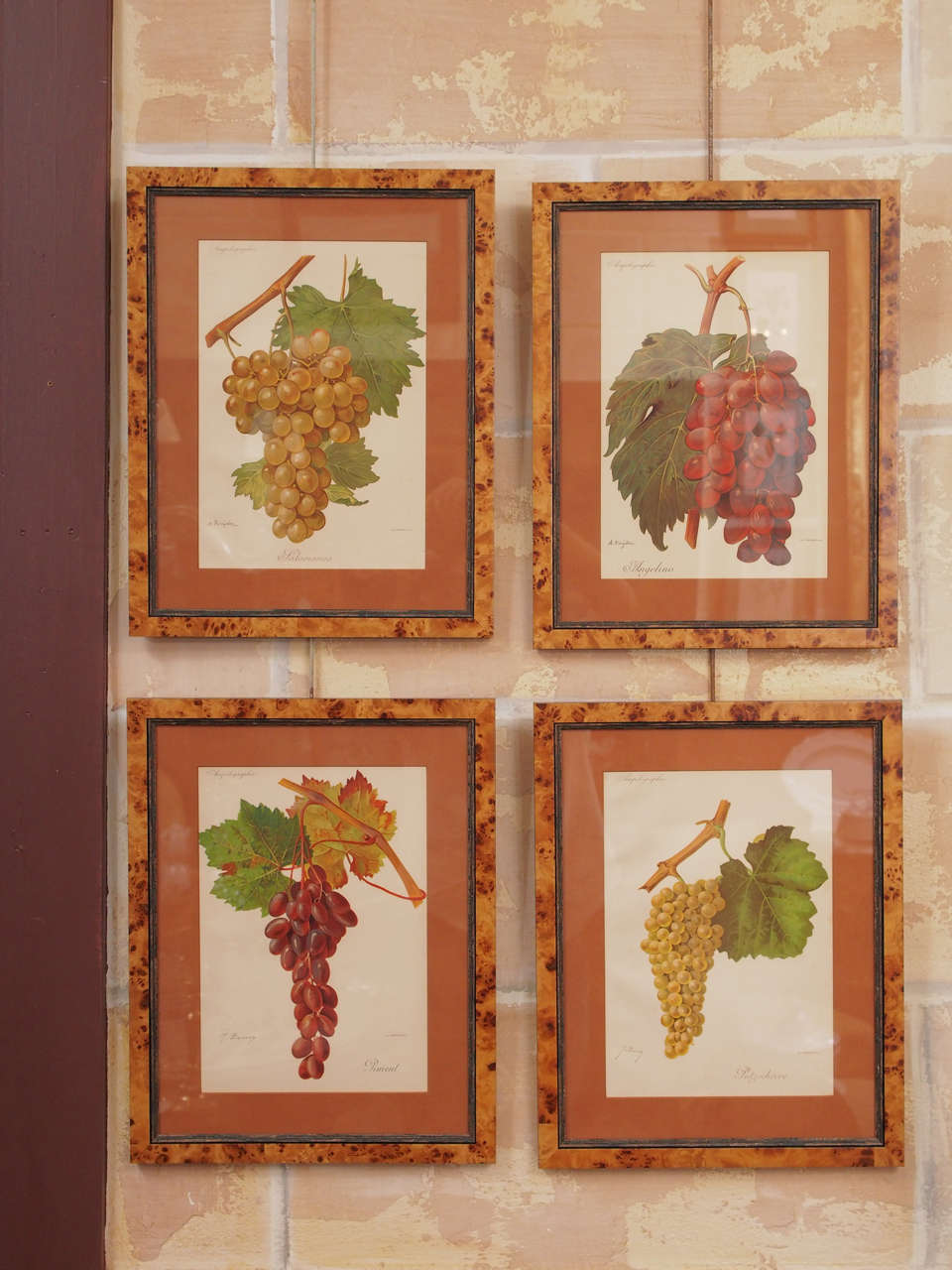 Four French Belle Époque Chromolithographs of Grapes
