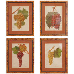 Four French Belle Époque Chromolithographs of Grapes