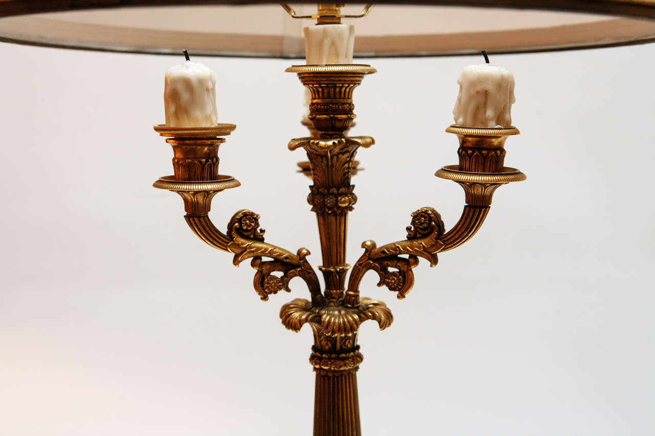 19th Century Pair of 19th c. French Dore Bronze Candelabra Lamps