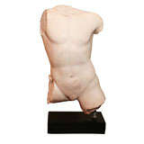 Museum Copy of a Torso.