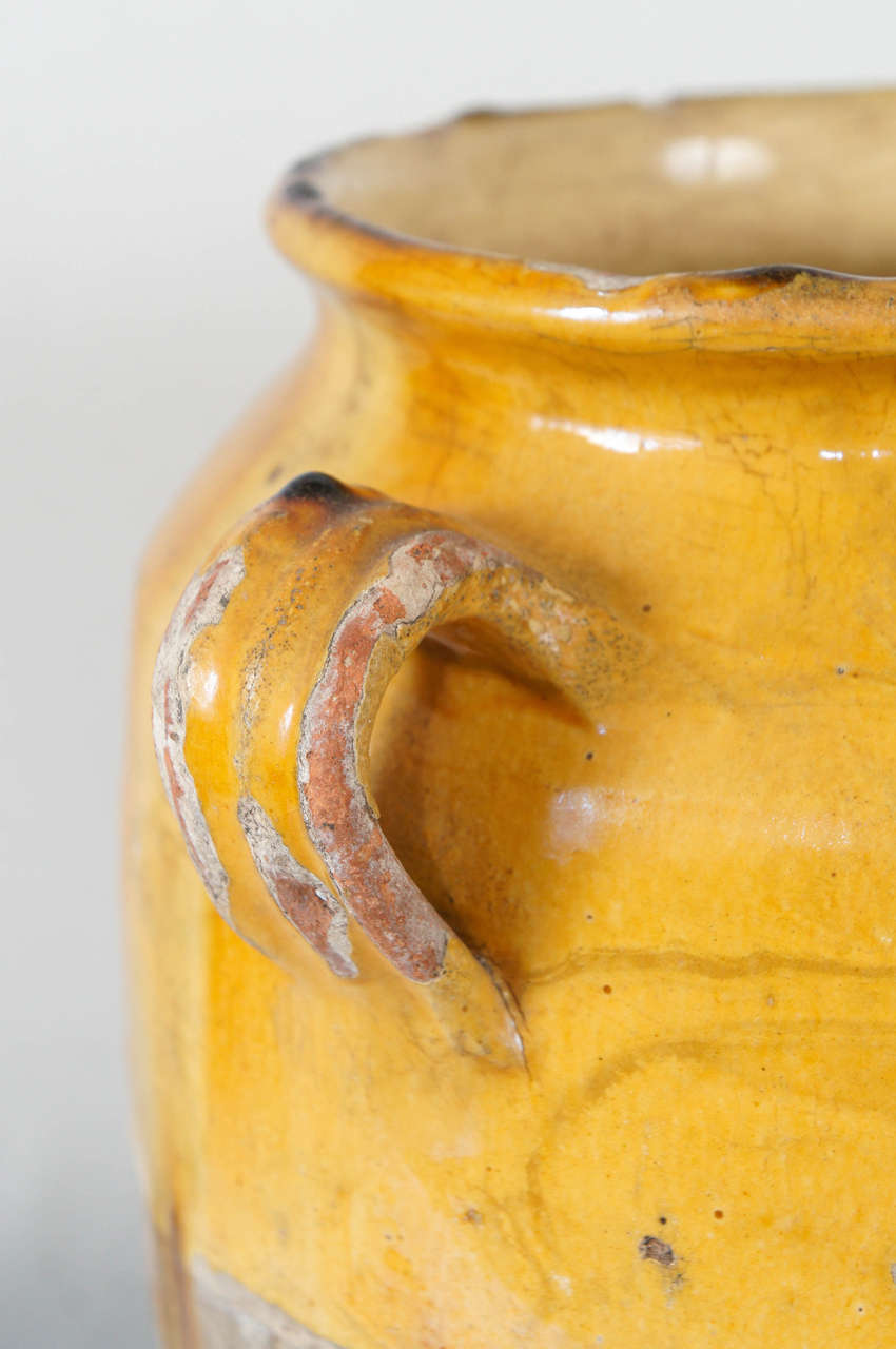 19th Century Dordogne Canning Pot for Foul from the South West Region of France