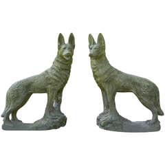 Vigilant German Shepherds