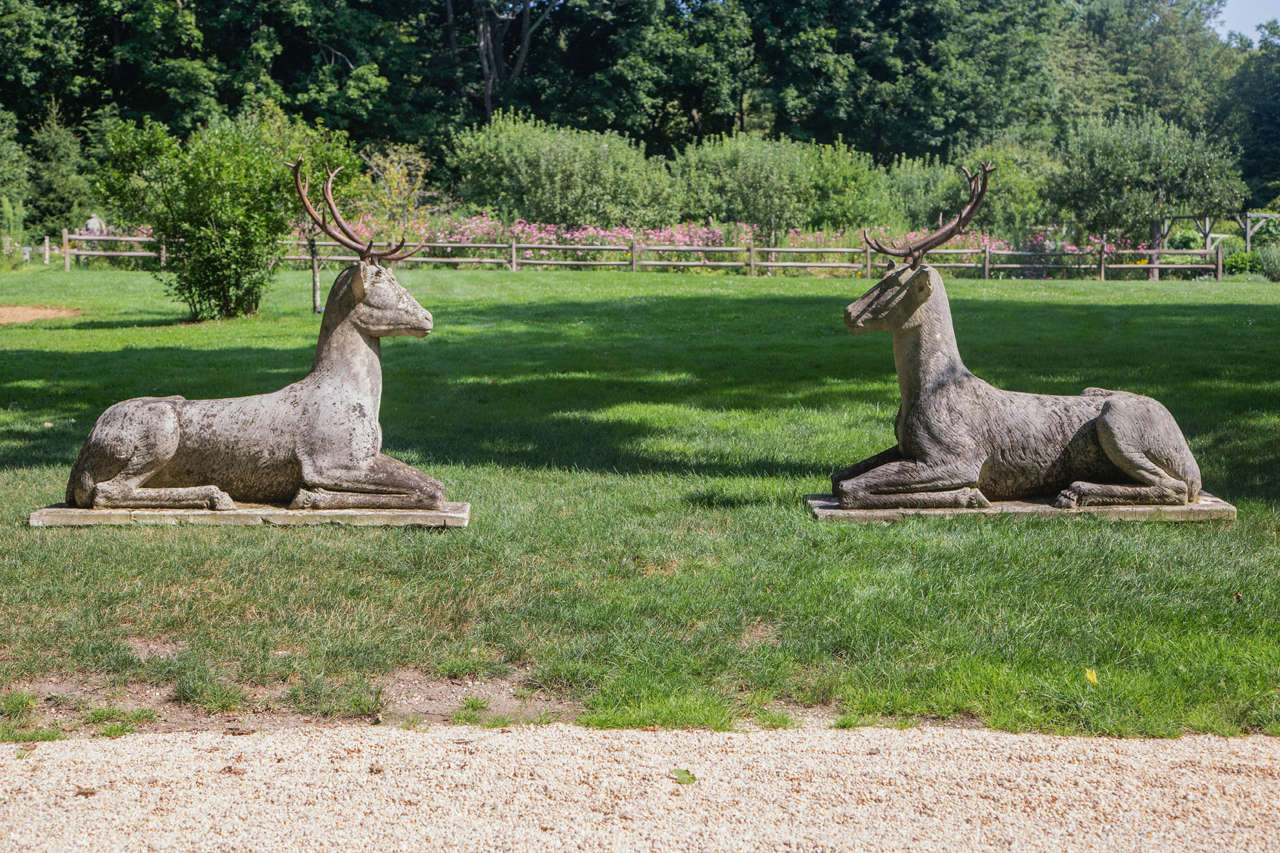 A monumental pair of carved stone recumbent deer in the naive style, with cast iron antlers, on rectangular integral bases.