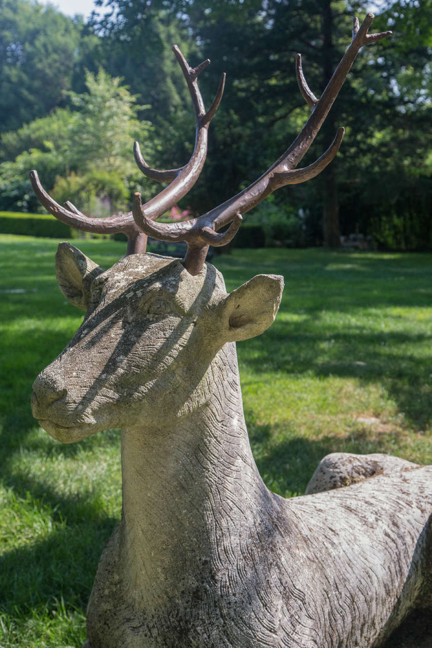 Magnificent Carved Deer In Good Condition In Katonah, NY
