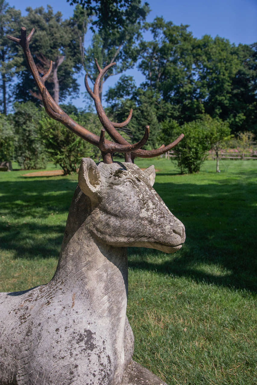 Mid-20th Century Magnificent Carved Deer