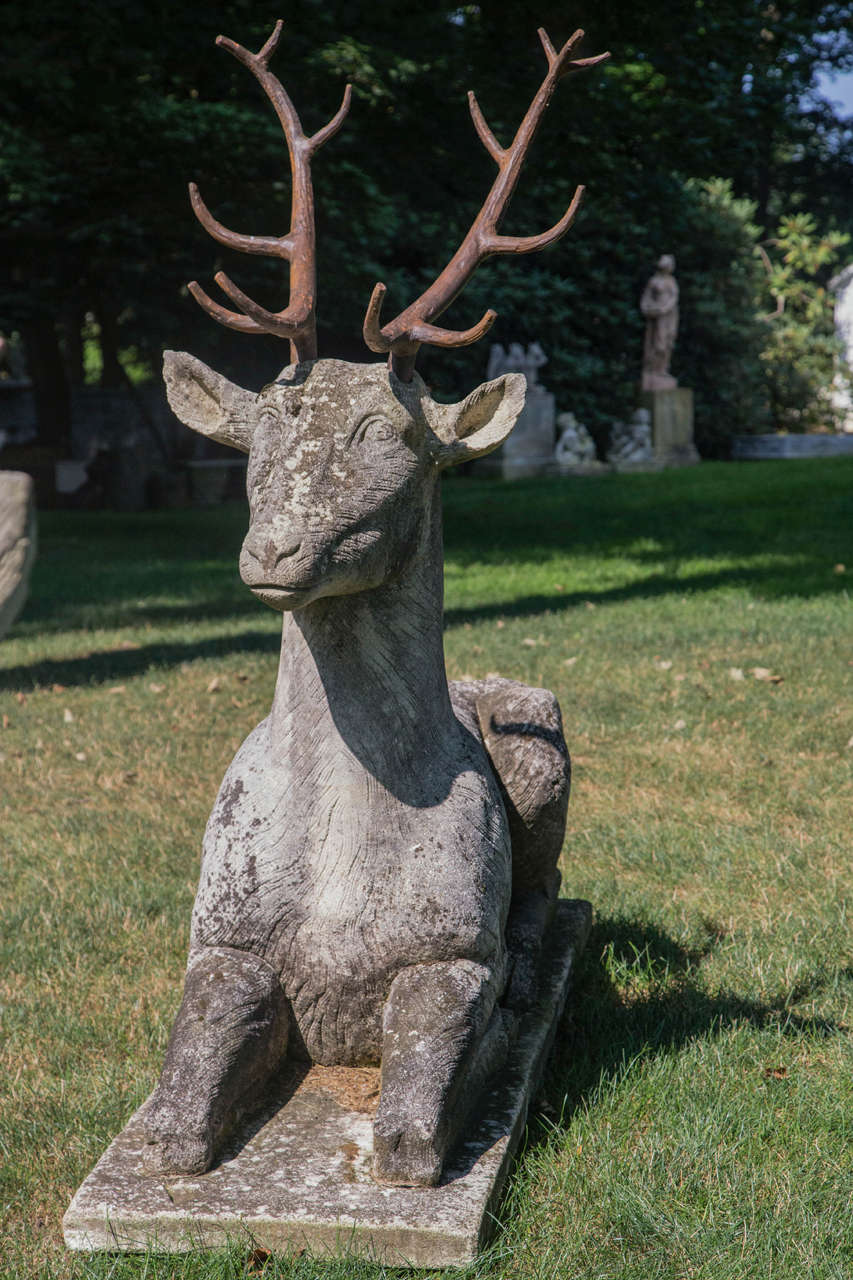 Stone Magnificent Carved Deer
