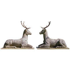 Vintage Magnificent Carved Deer