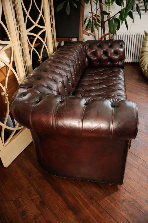 Chesterfield sofa from Harrods of London 4