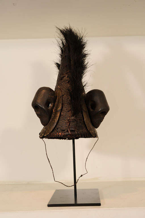 Mounted tribal warrior headdress, with carved wooden skull and boar tusks, on rattan weave cap.