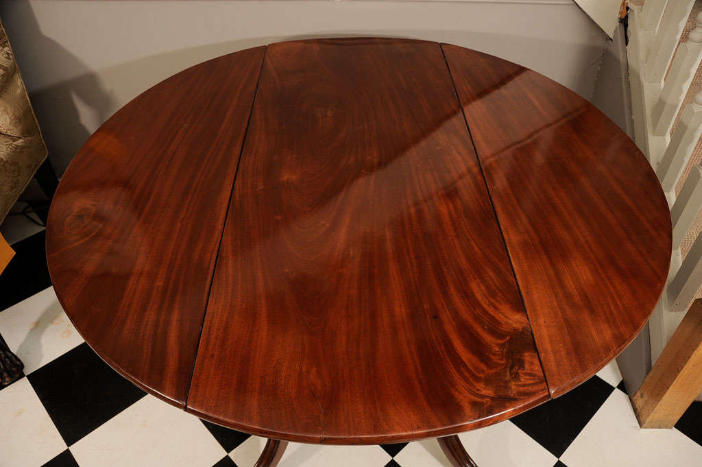Irish DropLeaf Table For Sale at 1stDibs