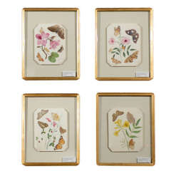 Set of 4 Antique Botanical Prints with real Dried Butterflies