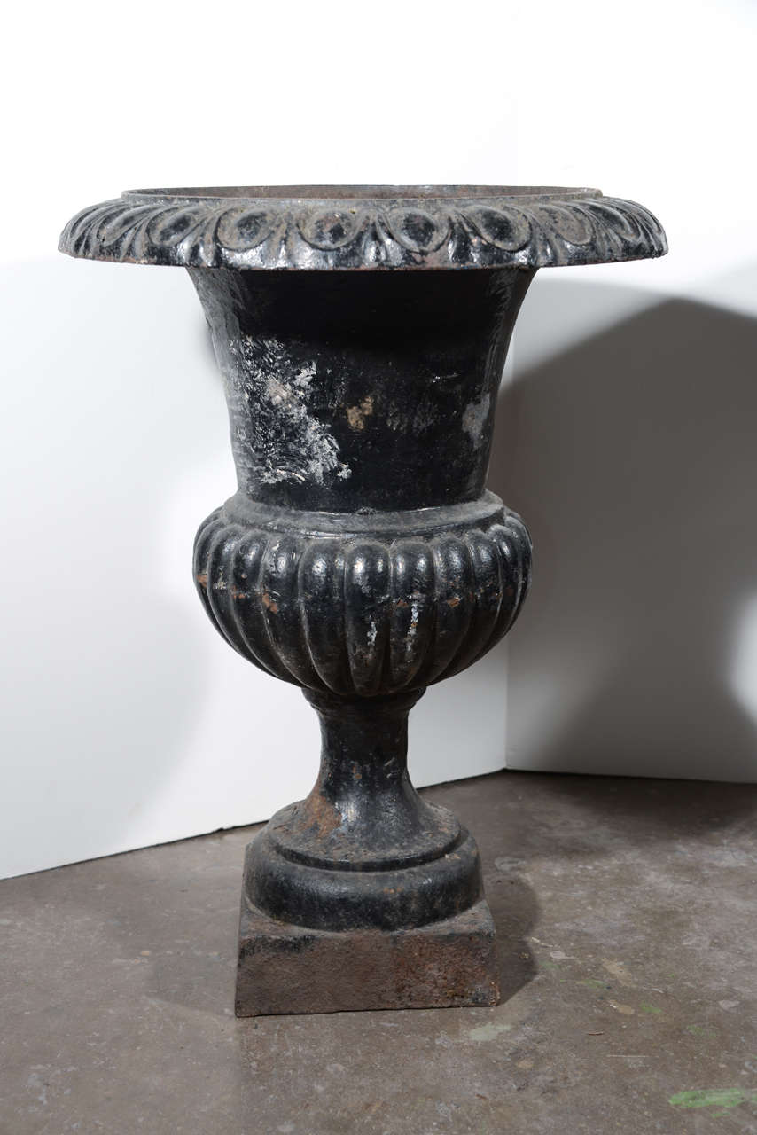 French 19th century pair of french Iron cast urns