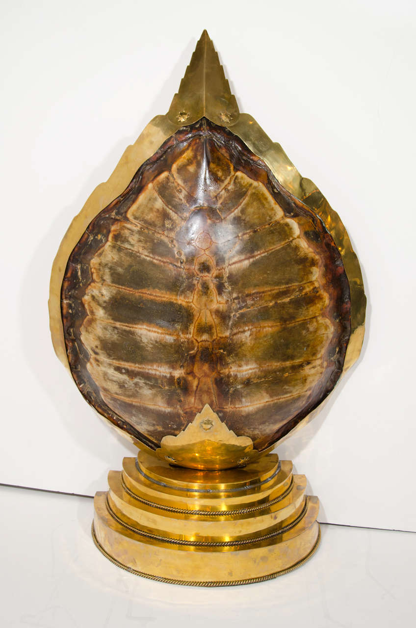 Outstanding vintage sea turtle lamp with hand forged brass base and frame.  The lamp is comprised of a 200 year old turtle shell with stylized brass borders and a stepped pedestal base.  The hand crafted borders have a Moorish design and the stepped