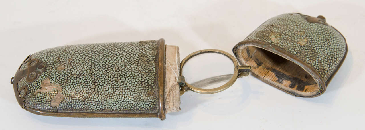 Early 20th Century Antique Eyeglasses with Shagreen Case For Sale