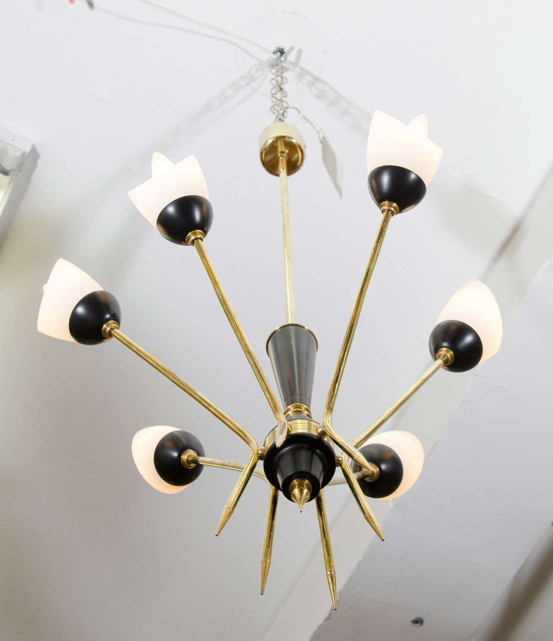 Brass Midcentury Six-Arm Tulip Chandelier Attributed to Stilnovo, circa 1955