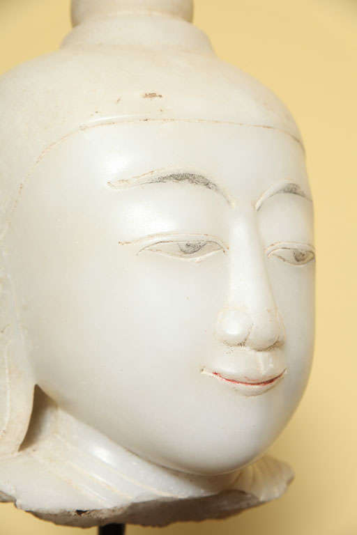 Head of Buddha 3