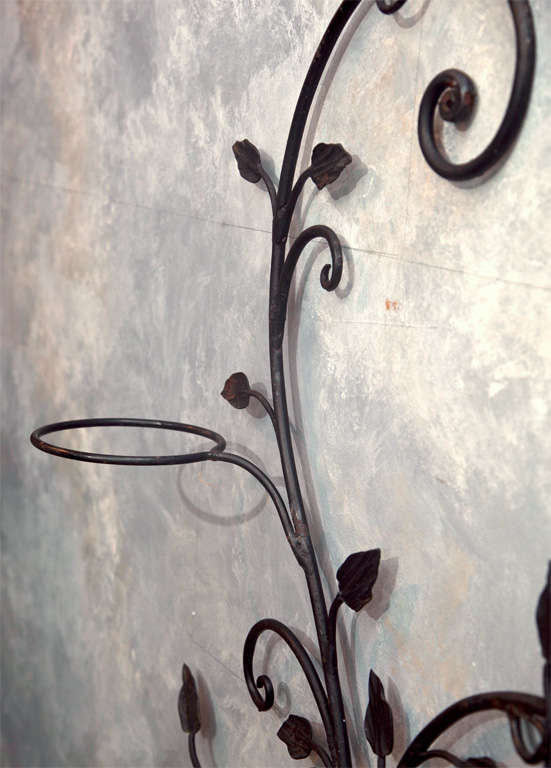 Decorative Wrought Iron Wall Planter Tree at 1stDibs