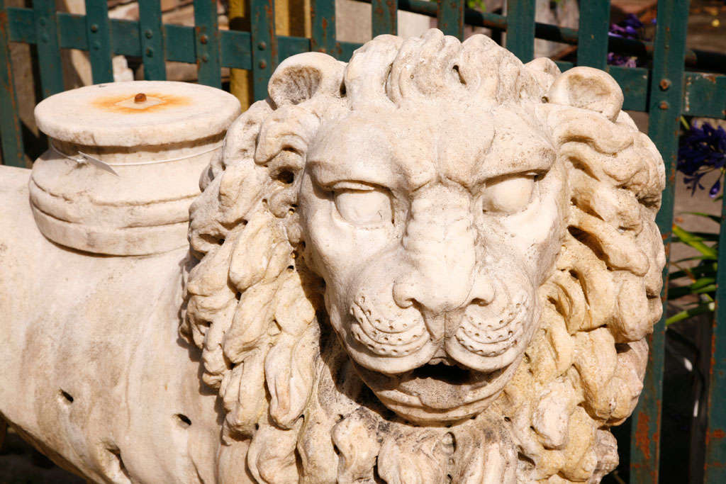 Carved A pair of carved marble lions