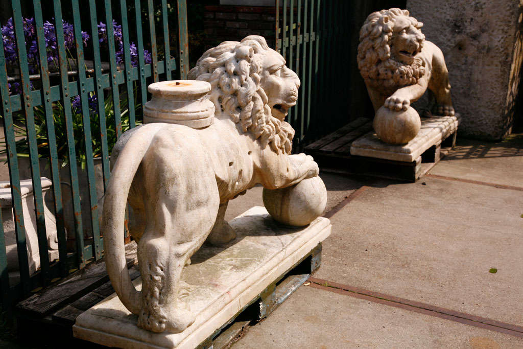 Marble A pair of carved marble lions